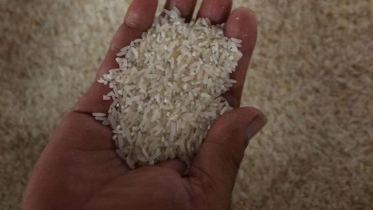 Rice Vouchers Under 2024 Budget To Benefit 28M Filipinos