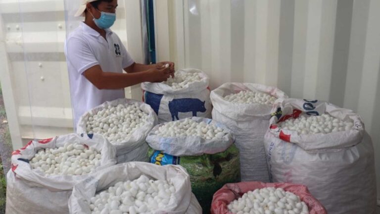 PTRI Eyes Local Fabric For Uniforms Of Government Servants