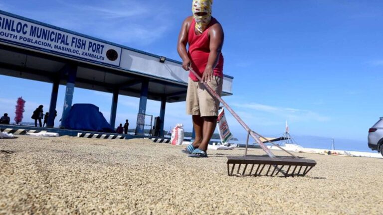 Department Of Agriculture Ends 2023 With Cash Distribution To Help Rice Farmers