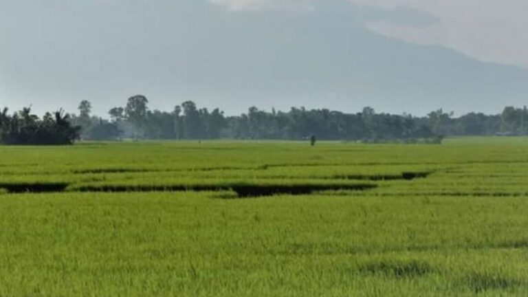 Negros Occidental Gears Up For Continued El Niño Response