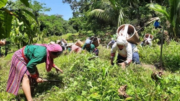 Ilocos Norte Retains 205 Rangers To Protect Forests, Watersheds