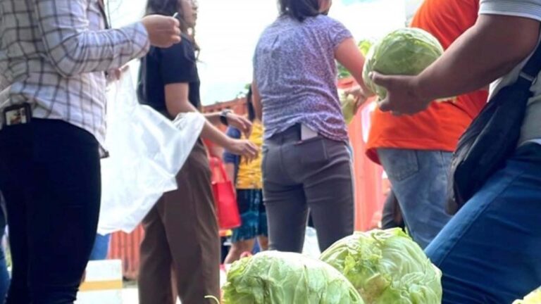 Farmers Use ‘Kadiwa Ng Pangulo’ To Sell Oversupply Of Cabbage