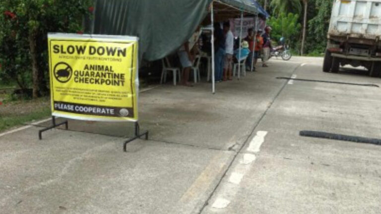 Romblon Town Completes Cash Aid For ASF-Affected Hog Raisers