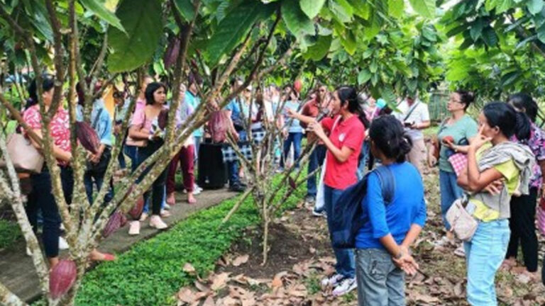Cacao, Coconut Farmers’ Groups In Camarines Sur To Get PHP4.2 Million Aid
