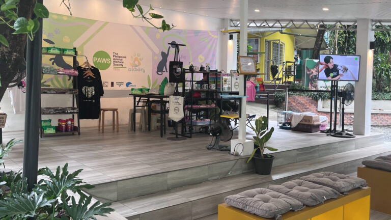 Philippine Animal Welfare Society Renovated By Interior Design Students
