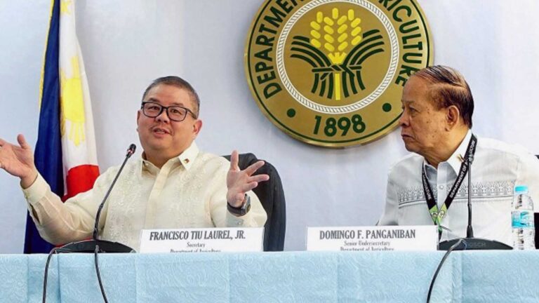 Agri Chief: DA Not Setting SRP On Rice, Other Farm Products