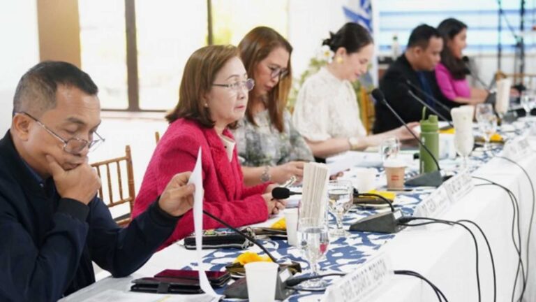 Eastern Visayas Development Council Seeks Better Power Procurement Process