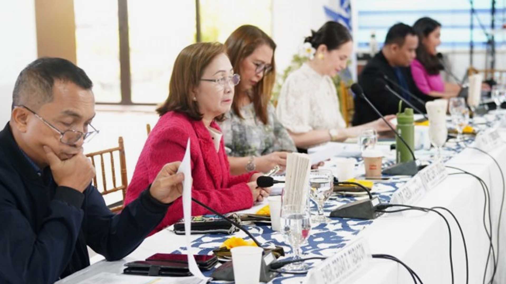 Eastern Visayas Development Council Seeks Better Power Procurement Process