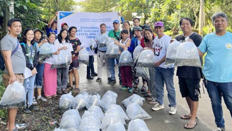 Provincial Government Distributes Fingerlings To Grow Laguna’s Food Yield