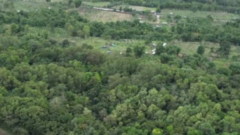 Bacolod City To Develop 8.7-Hectare Tree, Eco Park In Rural Village