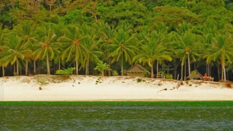Palawan Posts Almost 90% Rise In Tourist Arrivals In 2023