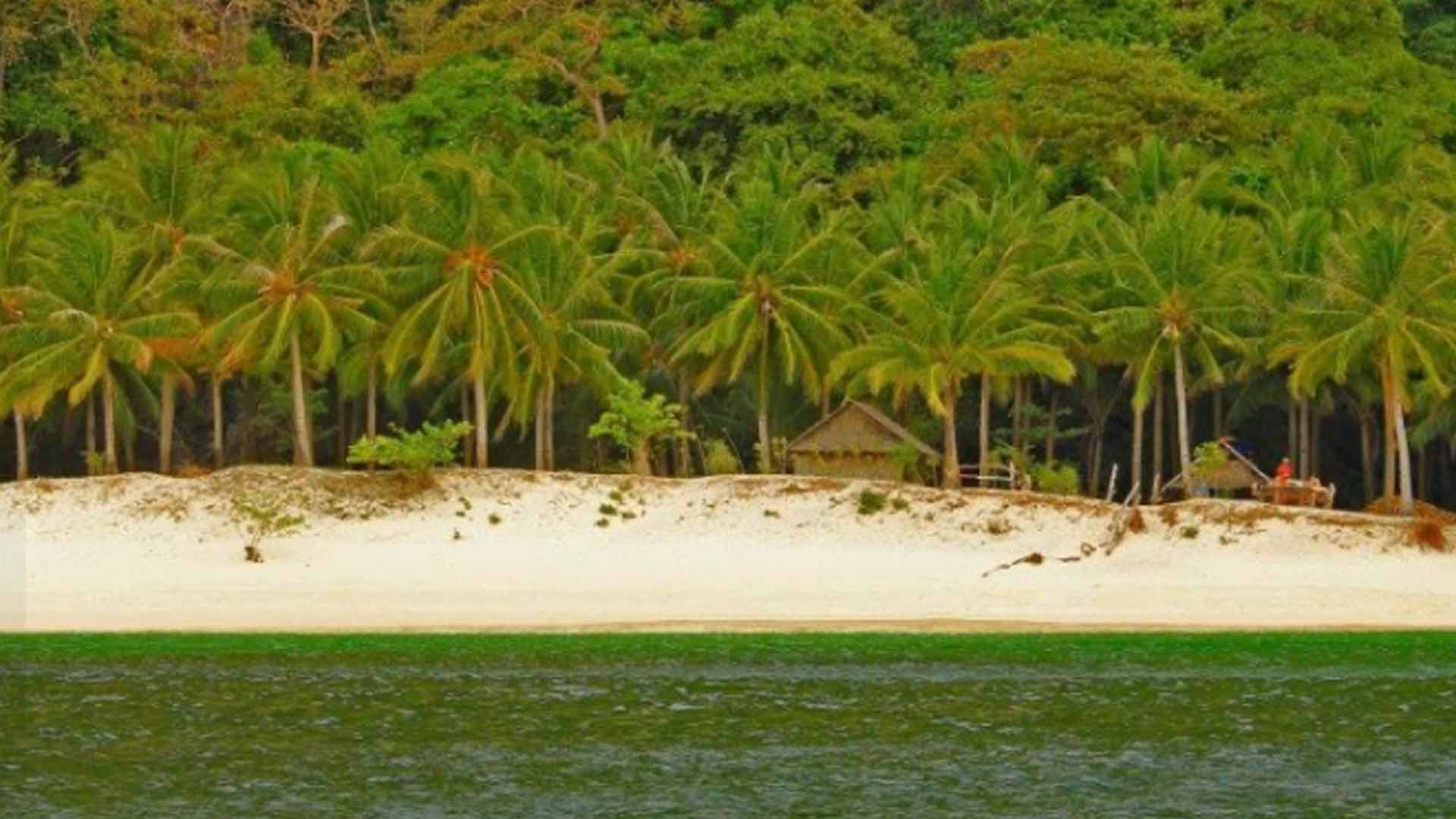 Palawan Posts Almost 90% Rise In Tourist Arrivals In 2023
