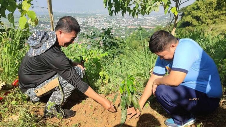 DILG Promotes Self-Reliance Among Communities Through Backyard Farming