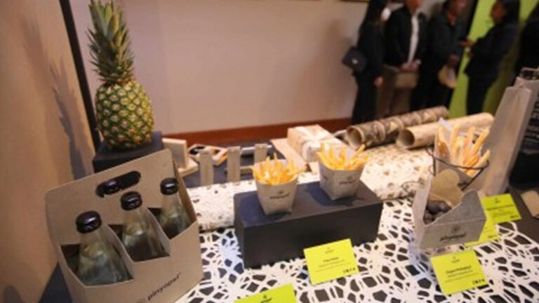 Use Of ‘Pinyapel’ Pulp Pushed As Alternate To Plastics
