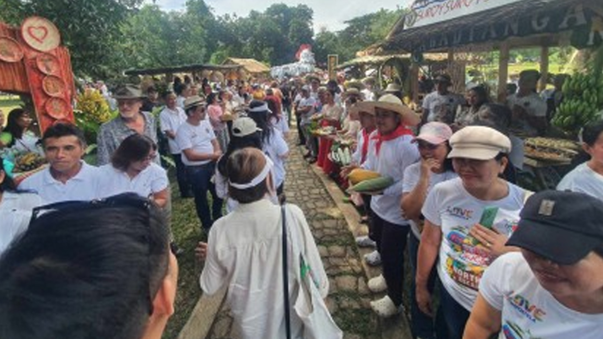 500 Tourists Join Northern Cebu Escapade ‘Suroy Suroy Sugbo’