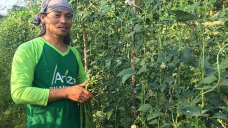 Ilocos Norte Braces For Dry Spell