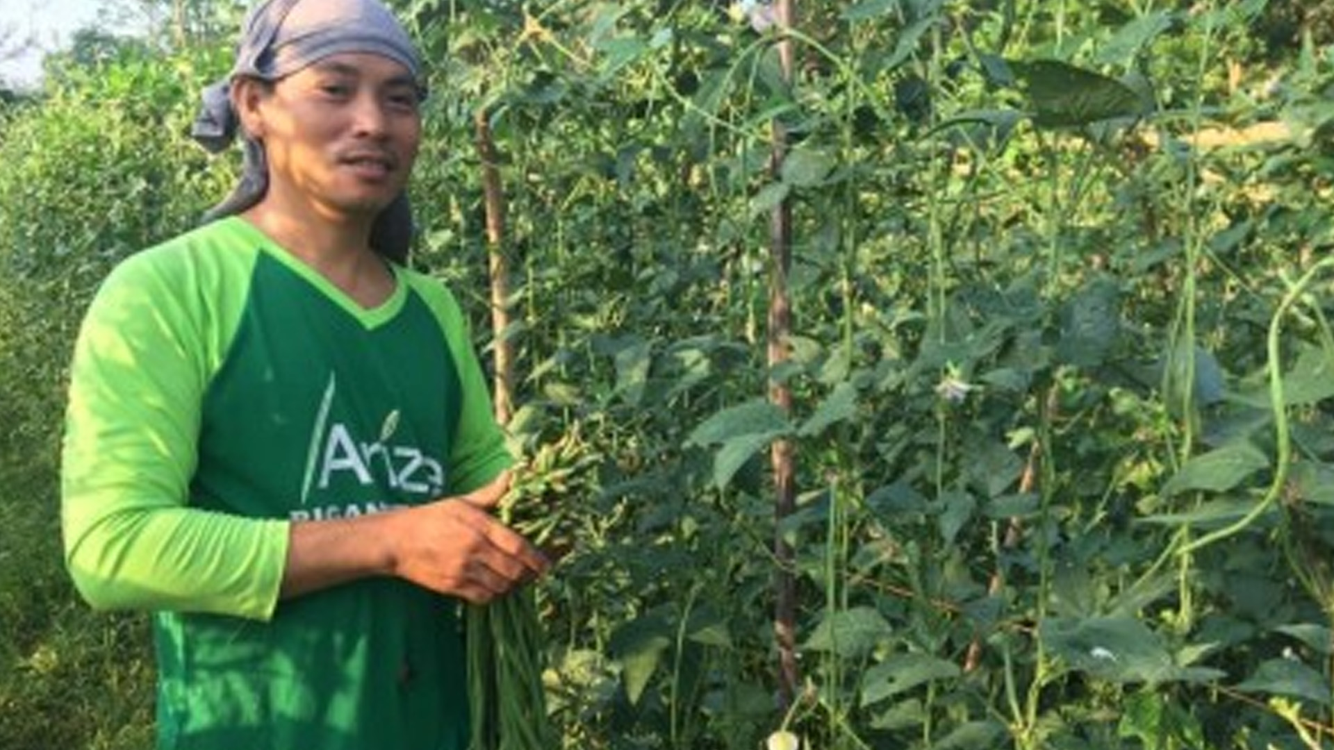 Ilocos Norte Braces For Dry Spell