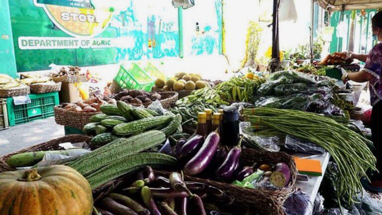 DA Helps Farmers Sell 160 Tons Of Highland Vegetables In January