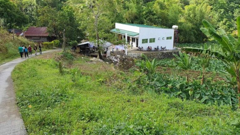 3 Iloilo LGUs Avail Of Japan-Funded Agroforestry Support Projects