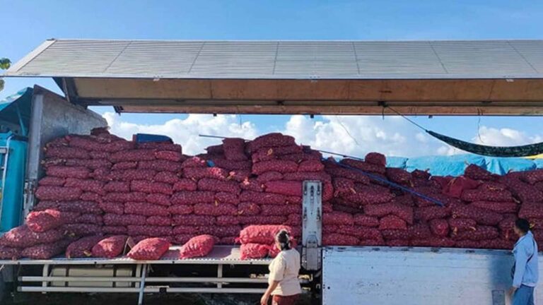 Philippines Expects Good Harvest, Adequate Supply Of Onions In 2024