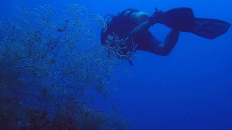 Philippines 1st Scuba Diving Courses Launched In Negros Oriental