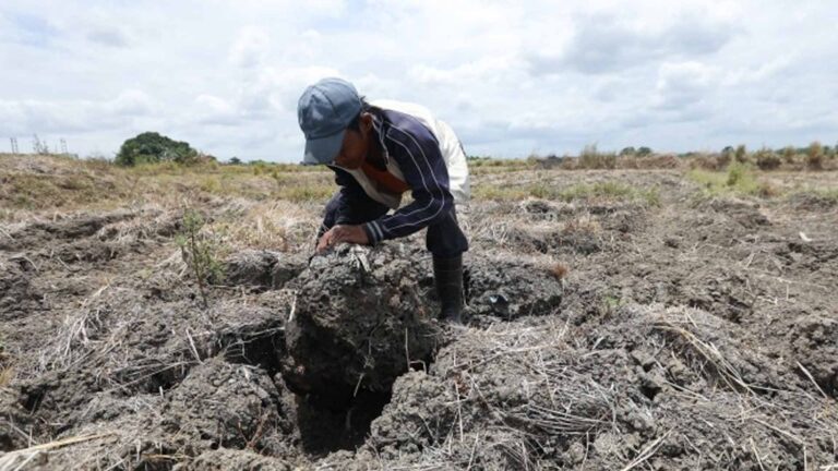 Government Ready To Provide Alternative Livelihood For Farmers Amid El Niño