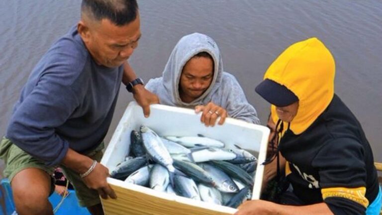 ‘Bangus’ Project Brings Bountiful Harvest To Dinagat Fisherfolk