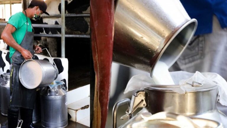 Philippines To Boost Milk Output To 80M Liters By 2028