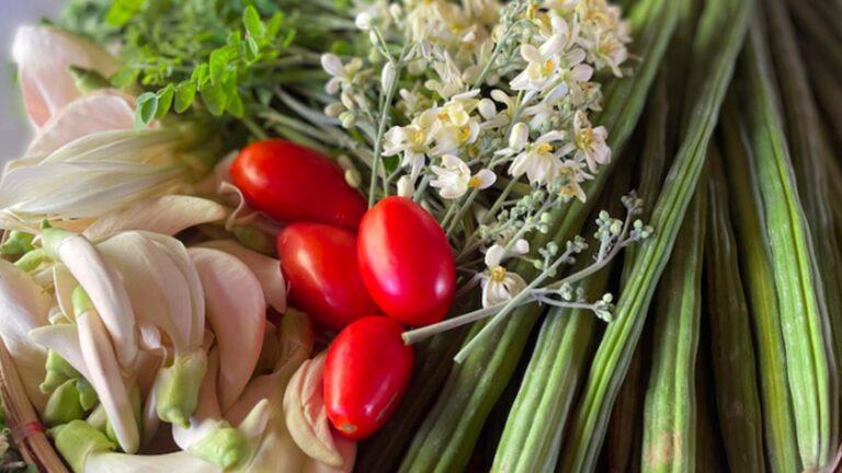 Kitchen Garden In Every Home Yields Healthy Kids In Ilocos Norte