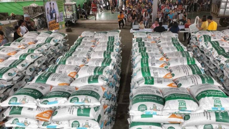 166K Rice Farmers In Western Visayas Get Certified Seeds For Dry Season