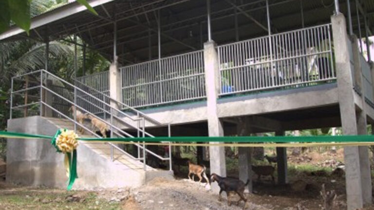 Organic Agri Coop In Davao Del Sur Gets PHP2.4 Million Livelihood Aid