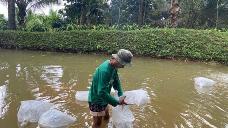 DA-NFRDI Upholds Continuous Research For Filipino Fishers