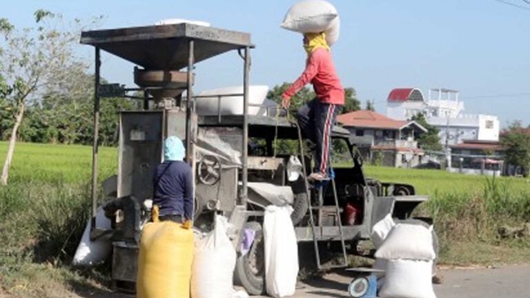Liberalization Of Foreign Investments In Rice, Corn Sector Sought
