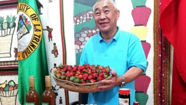 10K Cupcakes Highlight Of 2024 Strawberry Fest