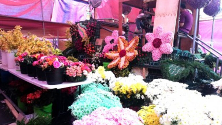 Panagbenga Posts Record-Breaking Float Participants With 33
