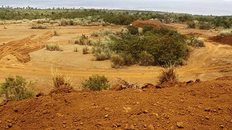 Chamber Of Mines To Fully Implement Sustainability Initiative