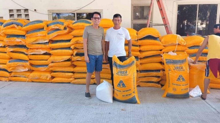 Ilocos Norte Rice Farmers Receive Fertilizer Vouchers, Veggie Seeds