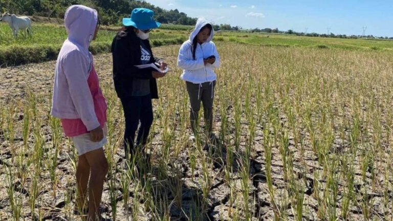 Aid Continues As Ifugao Declares State Of Calamity Over El Niño
