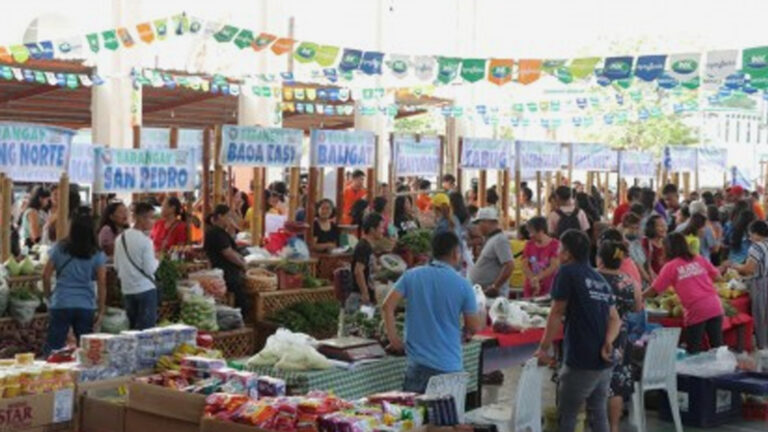 ‘Kadiwa Ng Pangulo’ Attracts More Buyers In Batac