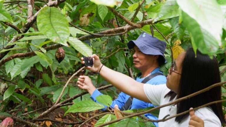 DA-Calabarzon Expands Tech Program On Land Cultivation