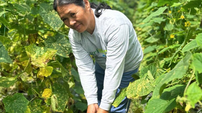 Agriboost Program Helps Farmers Boost Yield In Butuan