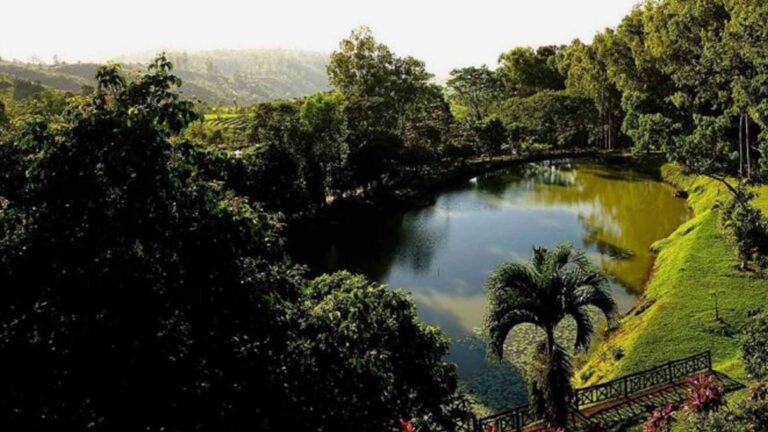 Victorias City Tourism Sites Waive Entrance Fee For Women On March 8