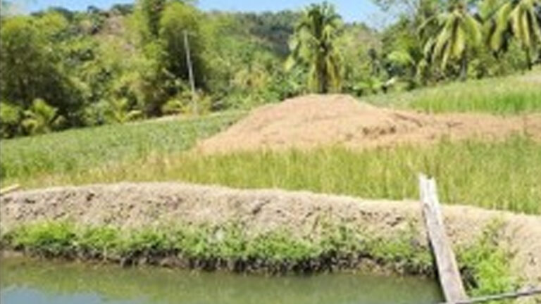 Department Of Agriculture To Provide Technical Assistance For ‘BINHI’ Project In Antique