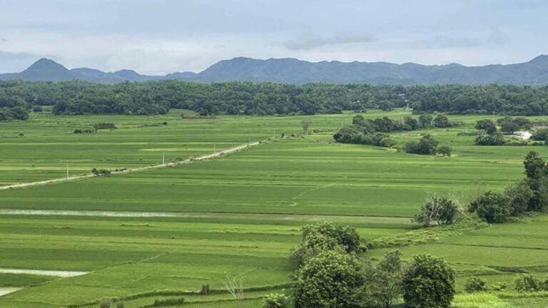 Ilocos Rice Farmers Told To Plant Early This Dry Season Amid El Niño