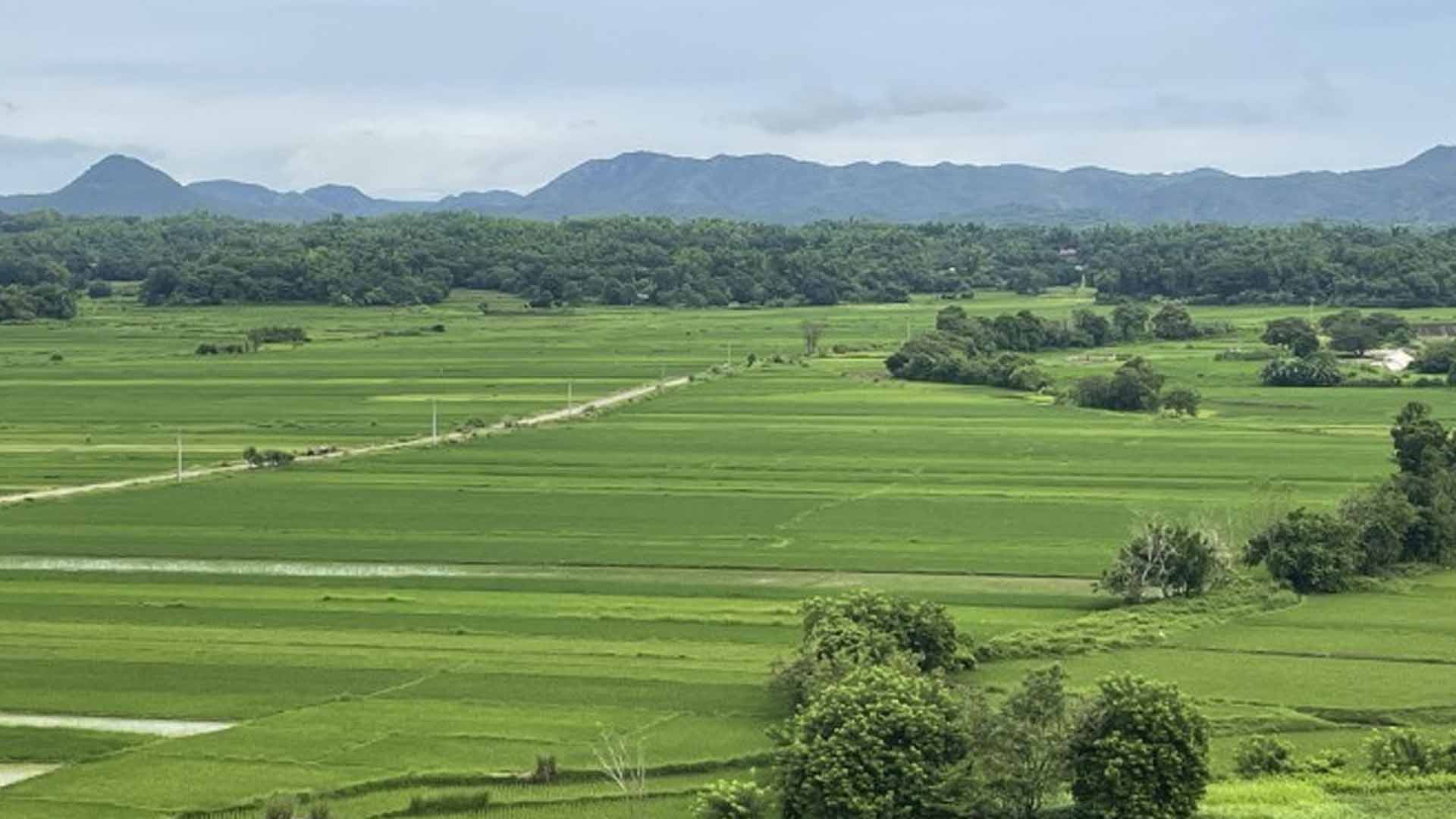 Ilocos Rice Farmers Told To Plant Early This Dry Season Amid El Niño