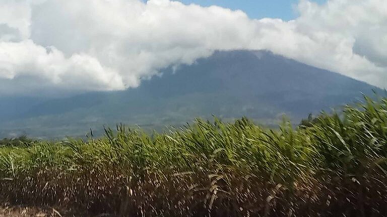 SRA Allots PHP66 Million Fund For El Niño Mitigation Measures