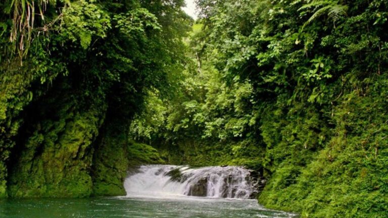 Samar Nature Park On Tentative List Of UNESCO World Heritage Site
