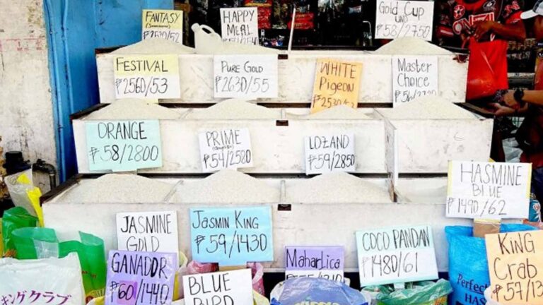 Department Of Agriculture Sees Drop In Rice Prices As Peak Harvest Season Nears