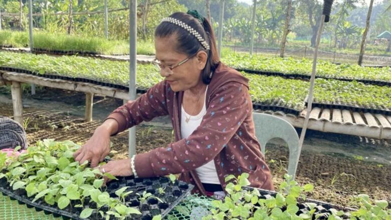 Drought Aid To Ilocos Norte Farmers Reaches Over PHP15.1 Million