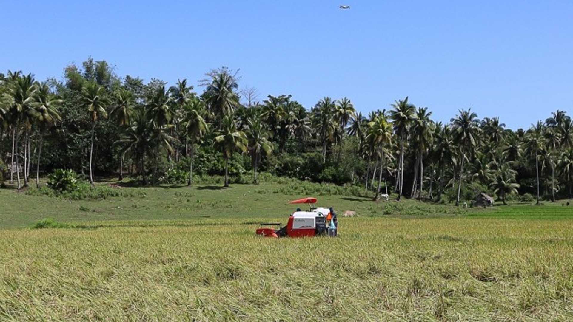 DAR Machinery To Modernize Agri Practices Of Camarines Sur Farmers